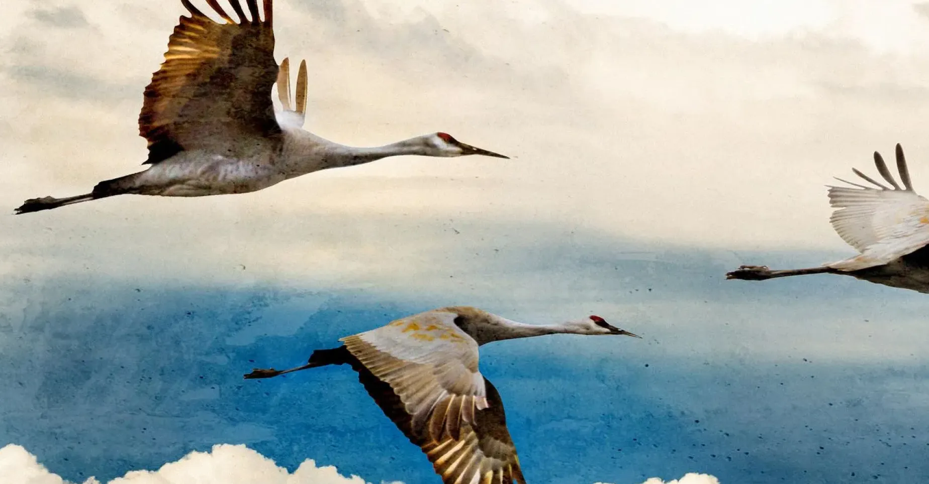 5 strategies to reduce cloud cost