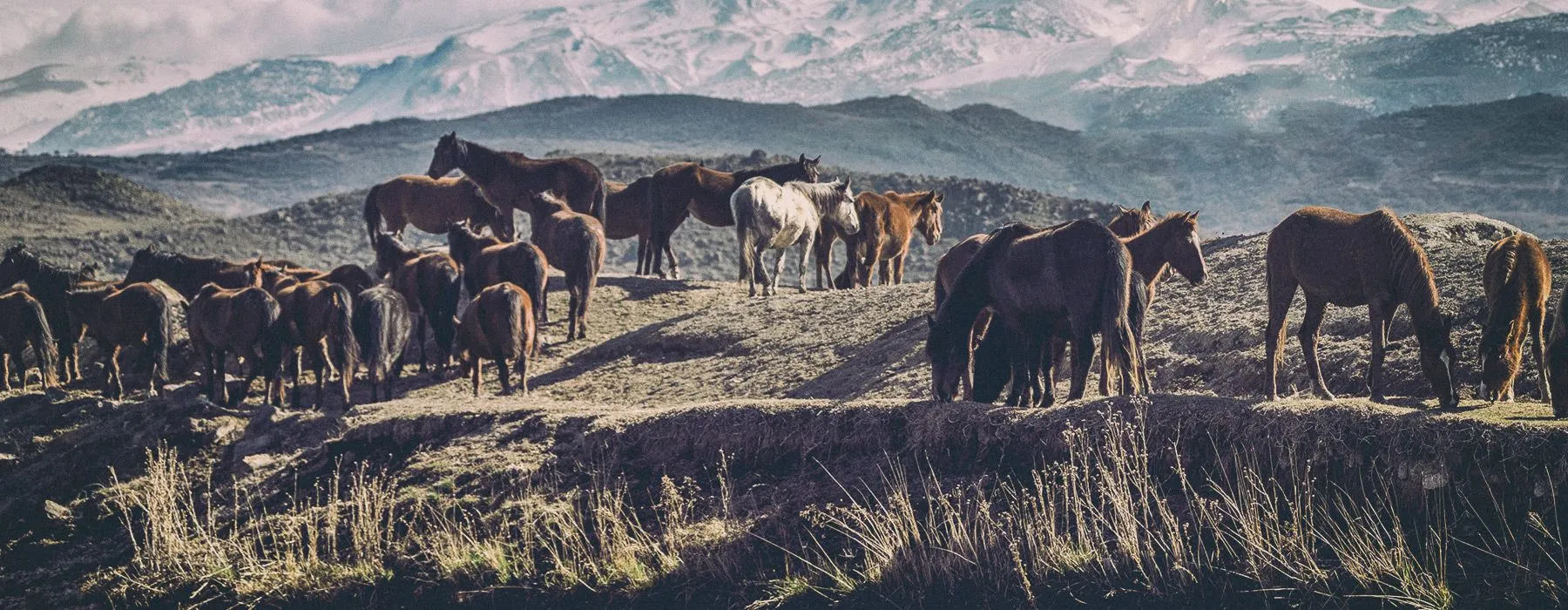 Add anomaly detection to your data with Grid Dynamics Starter Kit